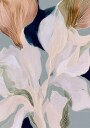 Soft Blush Botanicals Plakat / 70x100