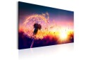Tavle Freedom Of Nature 90X60 Artgeist sp. z o. o.