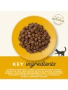 Applaws Tørrfôr Til Katt Voksen Kylling 7.5 kg