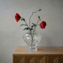 Hein Studio Ammonitt vase 30 cm Clear