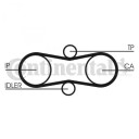 Registerrem CONTITECH CT914