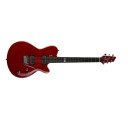 Godin Ds-1 Daryl Stuermer Signature W/bag