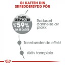 Royal Canin Oral Care Tørrfôr for Katter med Tannproblemer 3,5 kg