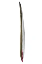 VEIA Explorer Shortboard Day Bag 6.0ft 7.0ft 6.6ft.