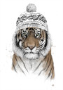 Siberian tiger Plakat Plakat / 70x100cm