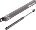 RIDEX 219G0887 Baklukedemper