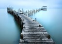 Carrasqueira II Plakat Plakat / 40x50cm