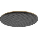 Hansgrohe Raindance Alive S takdusj, Ø30 cm, vannsparende, børstet bronse