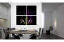 Bilde Rainbow Farget Røyk Spor 40x40 Artgeist sp. z o. o.