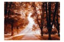 Fototapet Autumn Park 250x175 - Artgeist sp. z o. o.