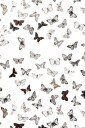 Mimou Tapet Butterfly Hvit