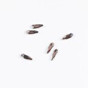 Brillbird Norge Rhinestone 10stk   Drop 2x6mm