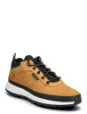 Timberland Low Lace Up Sneaker - Beige - 45