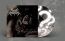 From Dust Vinyl