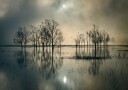 Lake"s Secret Plakat / 50x70cm