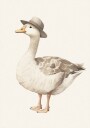 Gentleman Goose Fedora Hat Whimsical Bird Plakat Plakat / 70x100cm