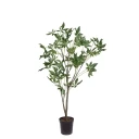Mr Plant Pachira tre i potte 140 cm