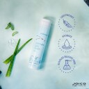Joico INNERJOI Fuktgivende Sjampo 300 ml med Epleekstrakt