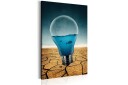 Tavla Aquarium of Ideas 40x60  