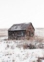 Sandhills Cabin in Snow Plakat Plakat / 70x100cm