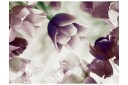 Fototapet Heavenly Tulips 200x154 - Artgeist sp. z o. o.