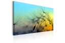 Tavle Ballad Of The Wind 60X40 Artgeist sp. z o. o.