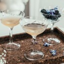 Hadeland Glassverk Finn Champagneskål 18 cl