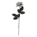 Fiestas Guirca Rose i plast grå 24479