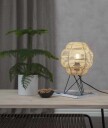 Star Trading Illumination Normal Filament A60 4W E27 Klar 470Lumen