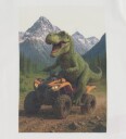 Name It Genser   NmmVoto   Cloud Danser/Dino   Name It   1½ år (86)   Genser   Hvit