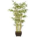 Mr Plant Bambus 190 cm