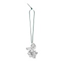 Flora Danica JULEROSE FORKROMMET