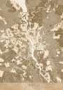 Sepia map of Kiev pre war Plakat Plakat / 30x40cm