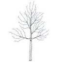 vidaXL Vegghengt LED-juletre 210 cm 312 LED-lys Kaldhvit Stål Svart