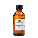 Urtegaarden Kjempenattlysolje Ø 50ml