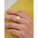 Ines de la Fressange Paris Dame Accessories Gul 48 MM,