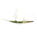Europalms Julekule 3,5cm, Lys Grønn Blank 48x