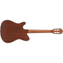 Ibanez FRH10N-NTF