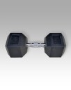 LEVITY Hex Dumbbell 22.5kg