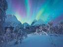 Puslespill 1500 The Arctic Show Ravensburger
