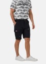 Seaside Cape Cod Shorts II
