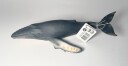 Figurka Collecta Wieloryb Humbak 004-88347
