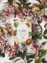 LMC te Strawberries & Cream Rooibos 20 teposer
