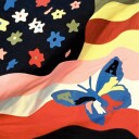 The Avalanches Wildflower Vinyl