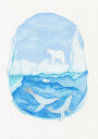 Arctic Life   Frozen Seas   Polar Bear and Seals Plakat Plakat / 70x100cm