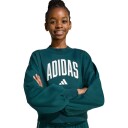 Adidas Jg Clgt Ft Swt Aurivy/White 140 Sweatshirts
