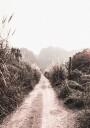 Dirt Road in Grass Fields Plakat Plakat / 21x30cm