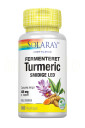 Solaray Gurkemeje Fermentert 425 mg 100 Kapslar