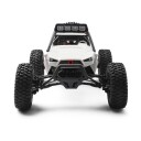 WLtoys Desert Racer 12429 1/12 4WD - Komplett