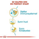 Royal Canin Pug Valp Tørrfôr 1.5 kg - For Frisk Pels og Ideelt Vektkontroll